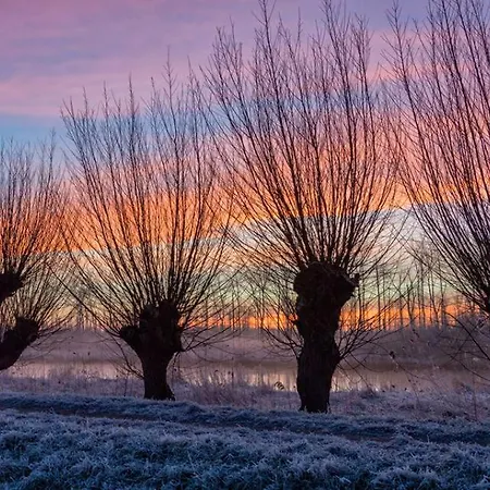 Le Jardin De Grand-mere *